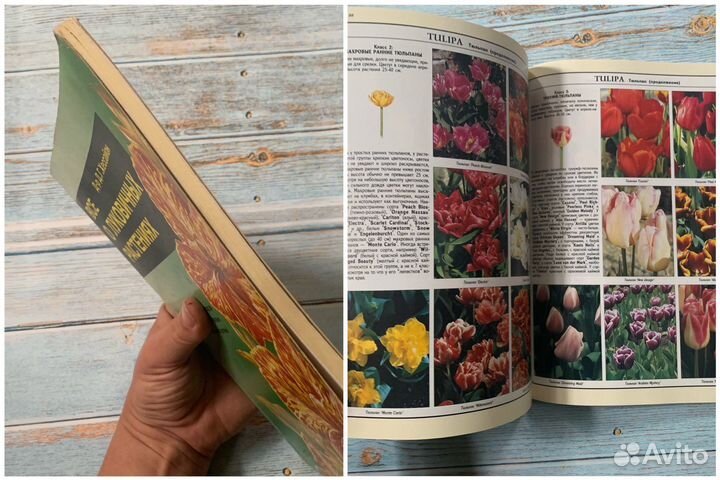 Цветы для сада, цветоводство - книги для садовниц