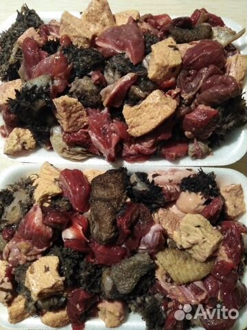 Натуральная еда для питомцев (мясо/субпродукты)