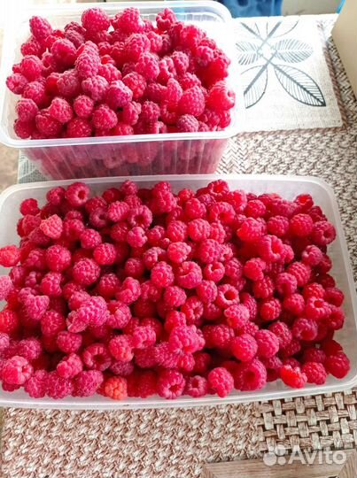 Продам малину