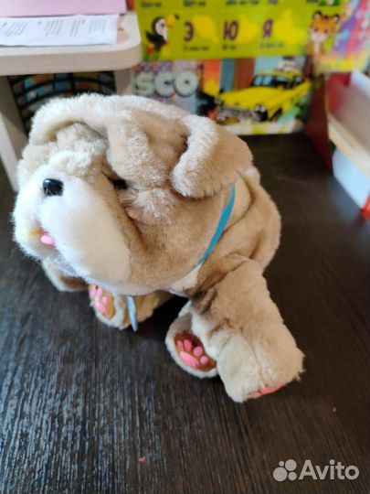 Интерактивная собака