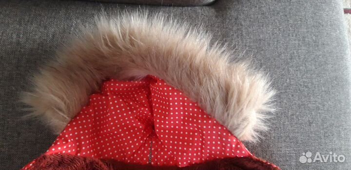 Одежда для собак