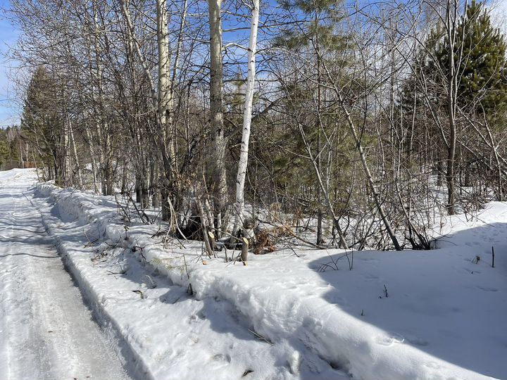 Дача 20 м² на участке 9,3 сот.