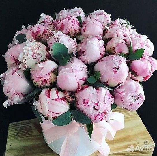 Пионы Букеты Цветы Доставка