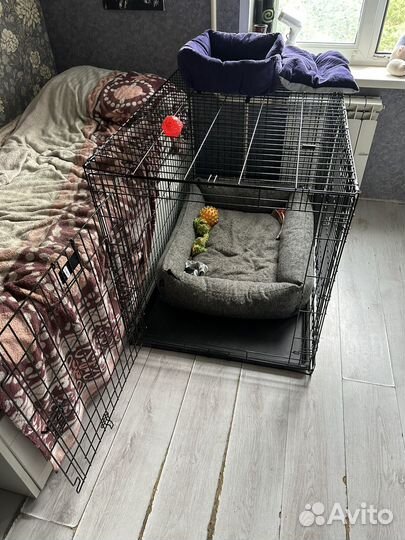 Клетка для собак