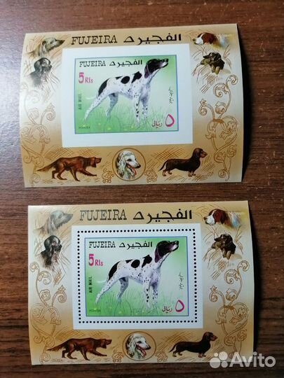 Блоки Фуджейра.Собаки