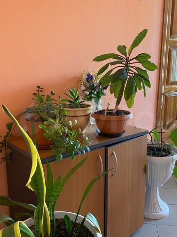 Комната 15 м² в > 9-к., 4/4 эт.