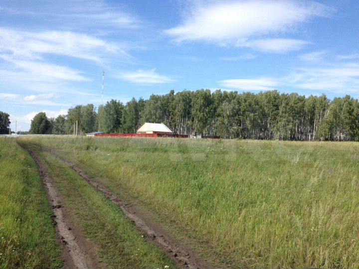 Участок 15 сот. (ИЖС)