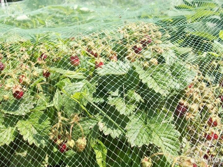 Сетка пластиковая