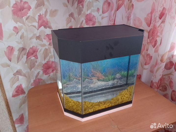 Аквариум