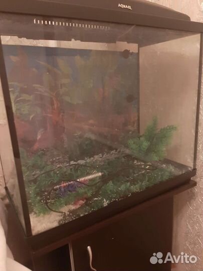 Продам фирменный аквариум цена договорная