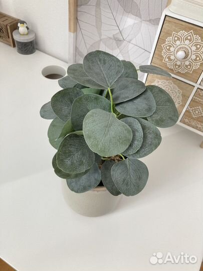 Кашпо и цветок Sinsay - декор