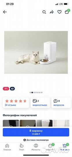 Автокормушка для кошек