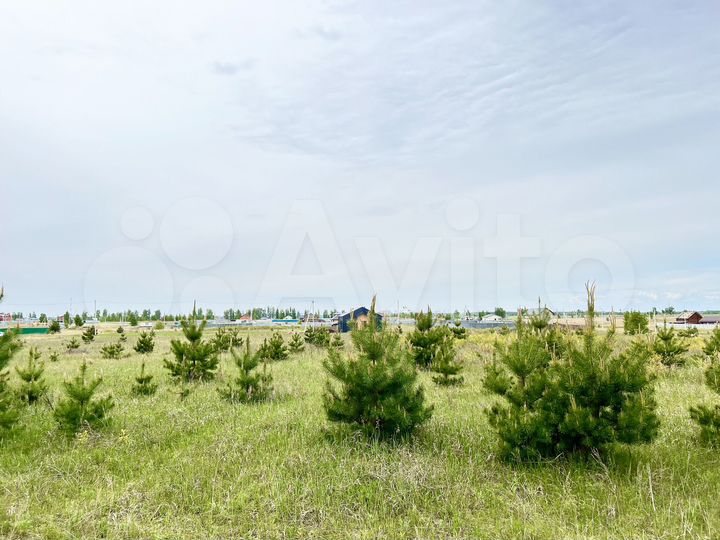 Участок 10 сот. (ИЖС)