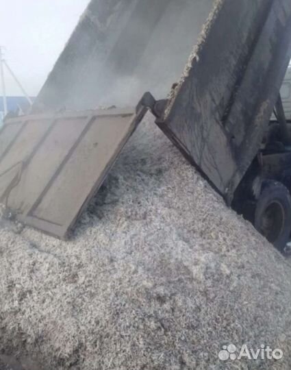 Отходы сахарной свеклы жом