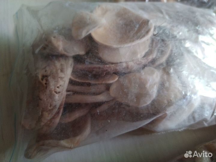 Ракушки морские мелкие