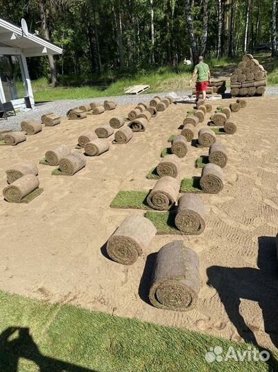 Качественный газон