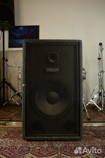 Активная акустическая система Yerasov аас - 100R