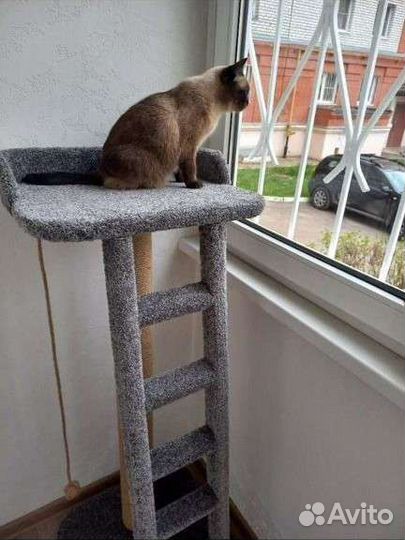 Когтеточка