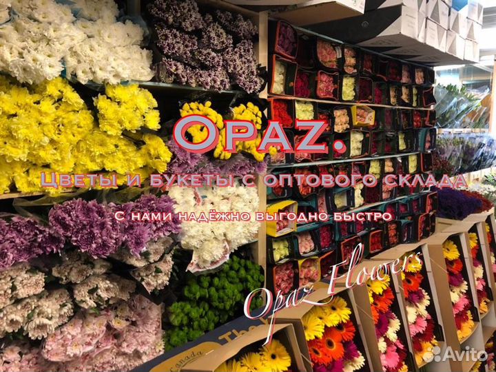 101 роза 70см Цветы Букеты Доставка