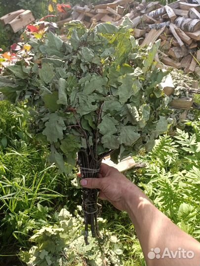 Дубовые веники для бани-заготовки