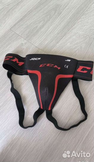 Ракушка хоккейная