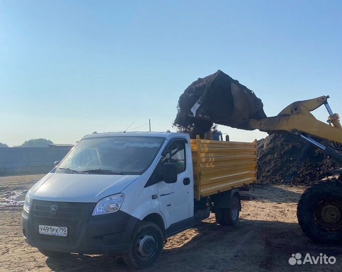 Коровий перегной, Навоз