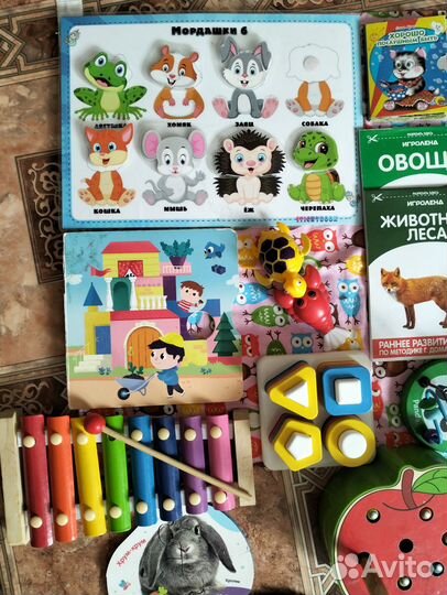 Игрушки развивающие и музыкальные