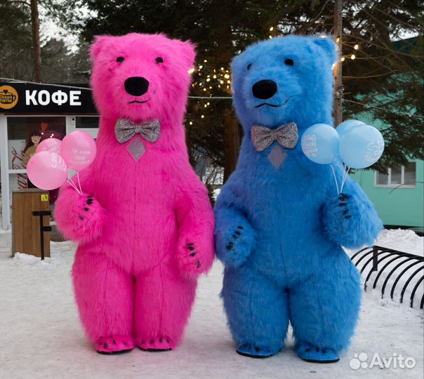 Поздравление от Гигантского Медведя 2,6 метра