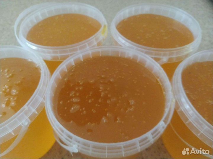 Мед свежий 2023