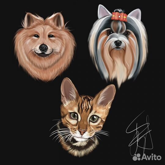 Художник иллюстратор, рисунки на заказ