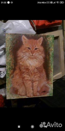 Портрет питомца