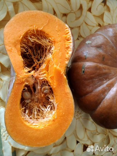 Семена тыквы Деликата,Каштан