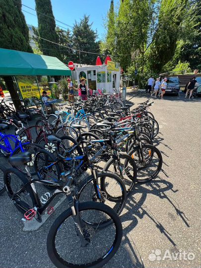 Прокат Европейских и Американских велосипедов