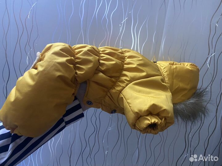 Комбинезон для собак