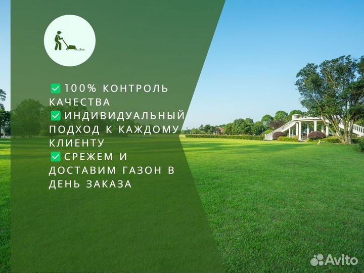 Укладка и продажа рулонного газона