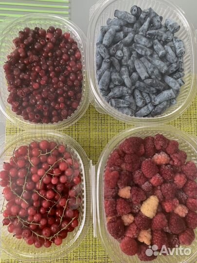 Ягоды заморожен, Грибы заморож, сушеные, Сухофрукт