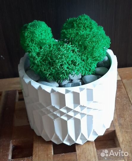 Изделия из гипса со стабилизированным мхом