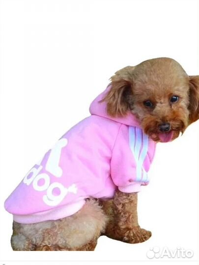 Одежда для собак