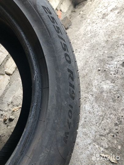 Pirelli P Zero 255/50 R19 103Y