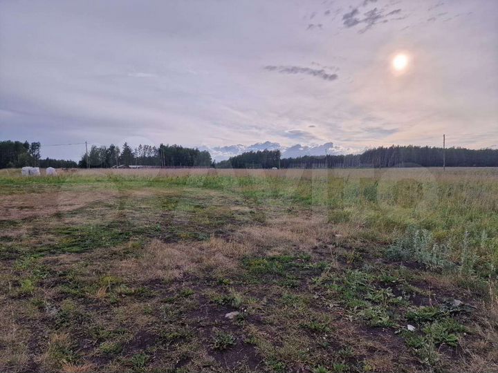 Участок 20 сот. (СНТ, ДНП)