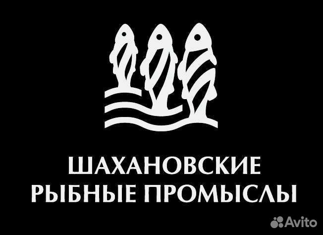 Грузчик-наборщик в с. Зоркальцево