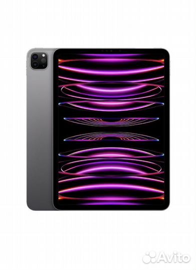 iPad pro 12.9 2021 256