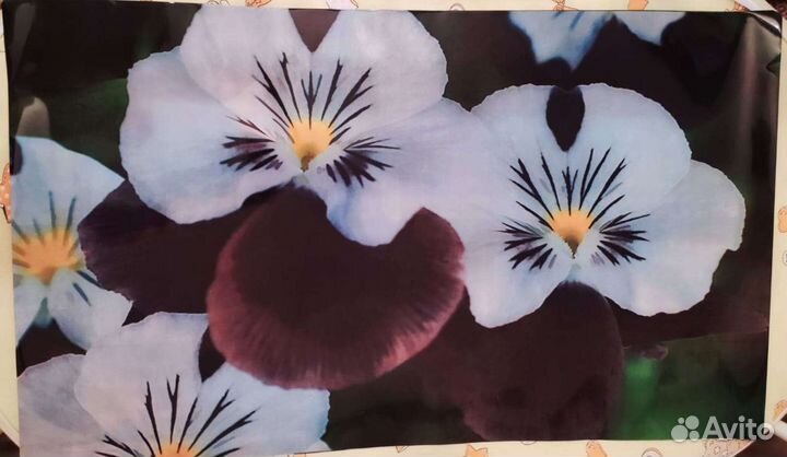 Термоклеенка 2х сторонняя