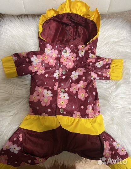 Ветровка дождевик