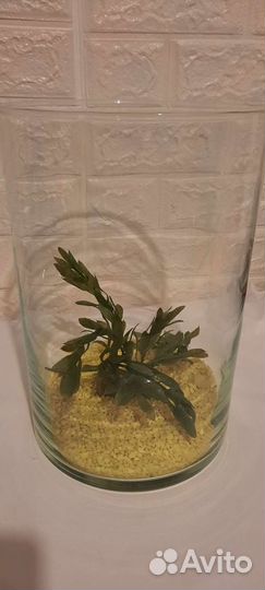Мини аквариум