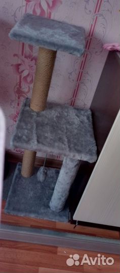 Когтеточка