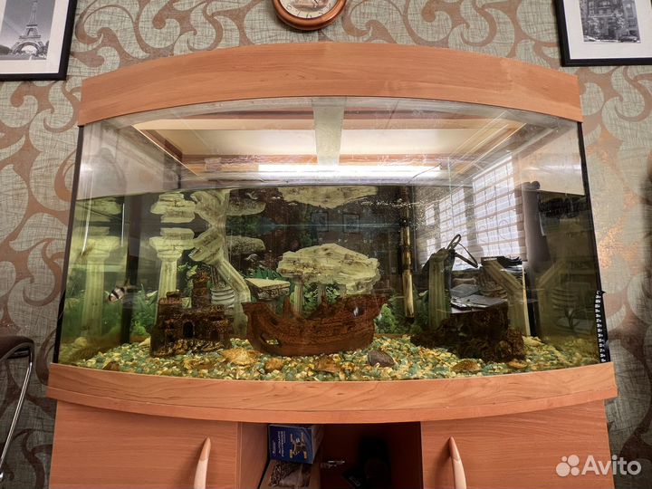 Аквариум 250л