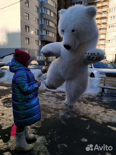 Белый Мишка, поздравление