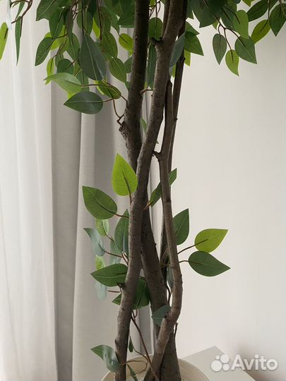 Искусственное дерево Фикус