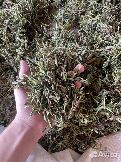 Саган дайля